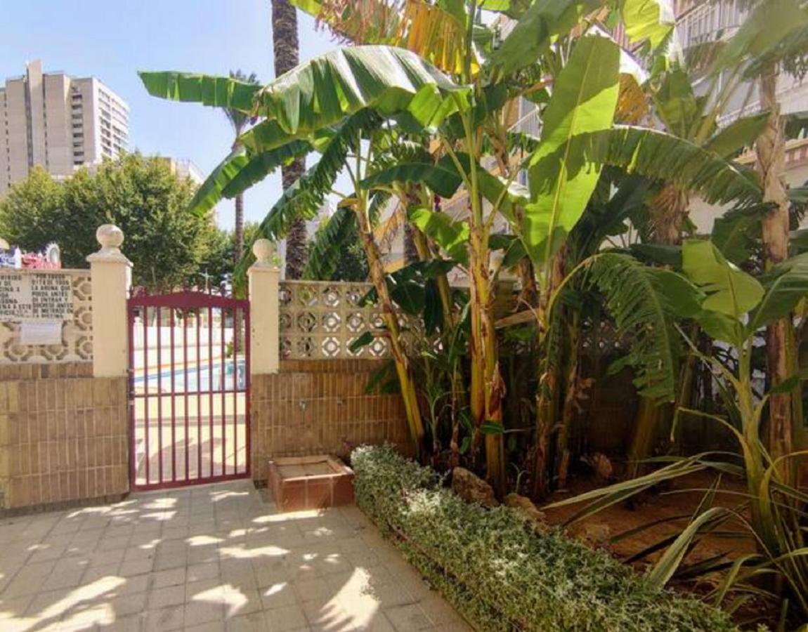 شقة Benidorm Rocas One, Un Oasis A 100 Metros Del Mar المظهر الخارجي الصورة
